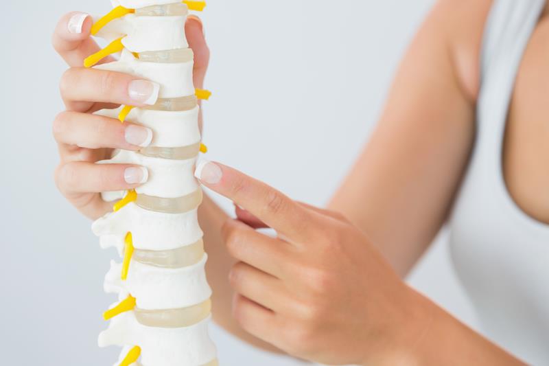 about our chiropractic office Waukesha, WI
